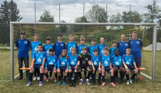 D2 Teamfoto